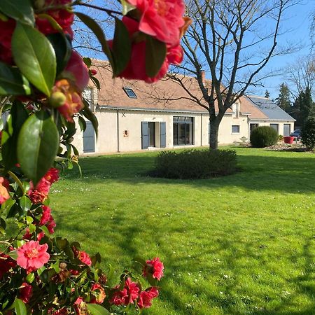 Au Ginkgo Bed and Breakfast Chaumont-sur-Loire Εξωτερικό φωτογραφία