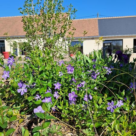 Au Ginkgo Bed and Breakfast Chaumont-sur-Loire Εξωτερικό φωτογραφία