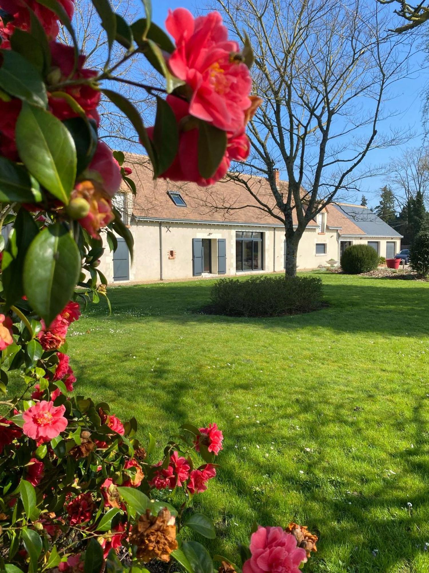 Au Ginkgo Bed and Breakfast Chaumont-sur-Loire Εξωτερικό φωτογραφία